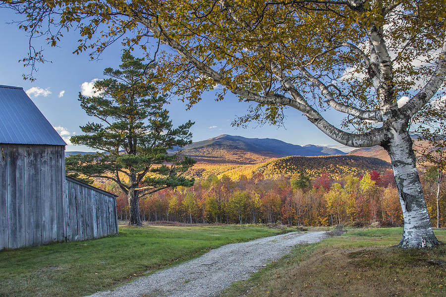 Jackson Autumn Farm Photograph by White Mountain Images