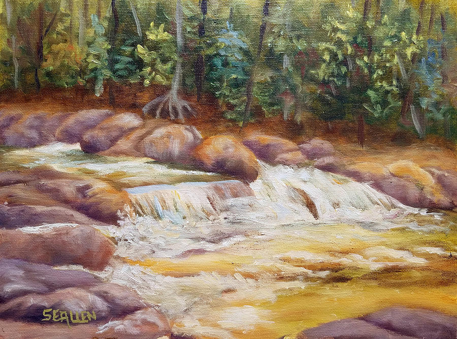Jackson Falls Revisited Painting by Sharon E Allen