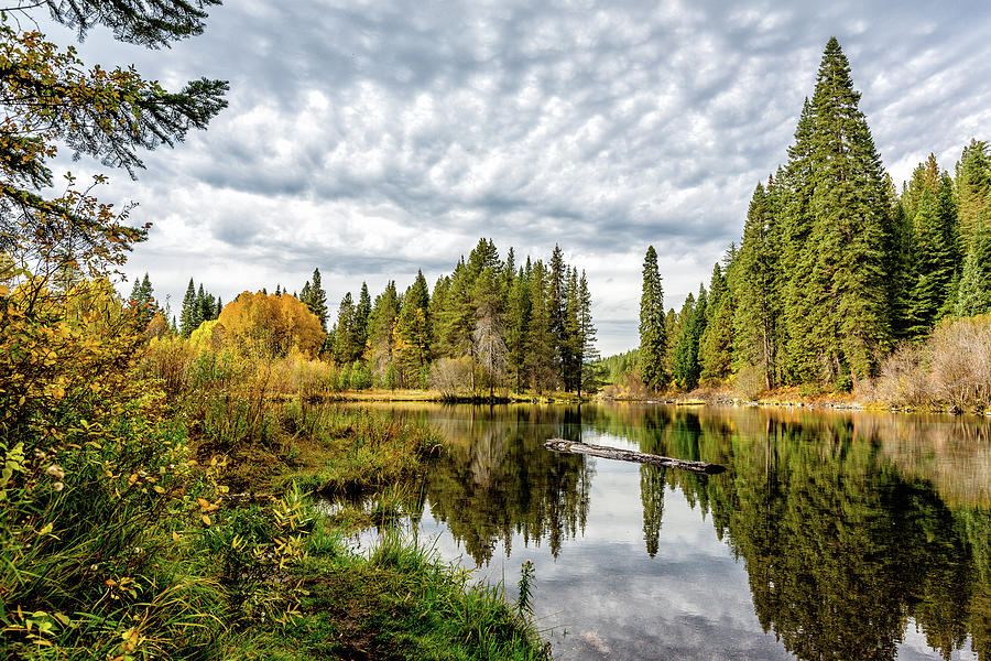 Jackson Kimball Park in fall Photograph by Michael Parks - Fine Art America