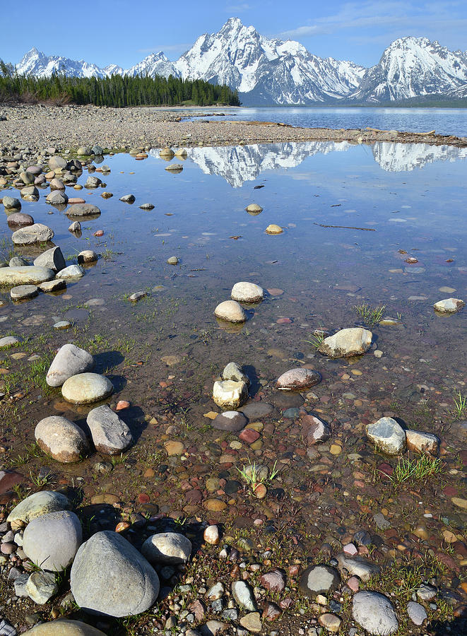 Jackson Lake Reflection in Grand Teton National Park Photograph by Ray Mathis