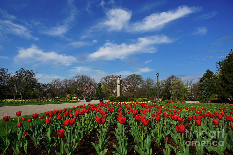 Jackson Park In Spring Photograph