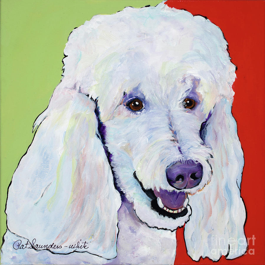Standard Poodle Painting - Jackson by Pat Saunders-White