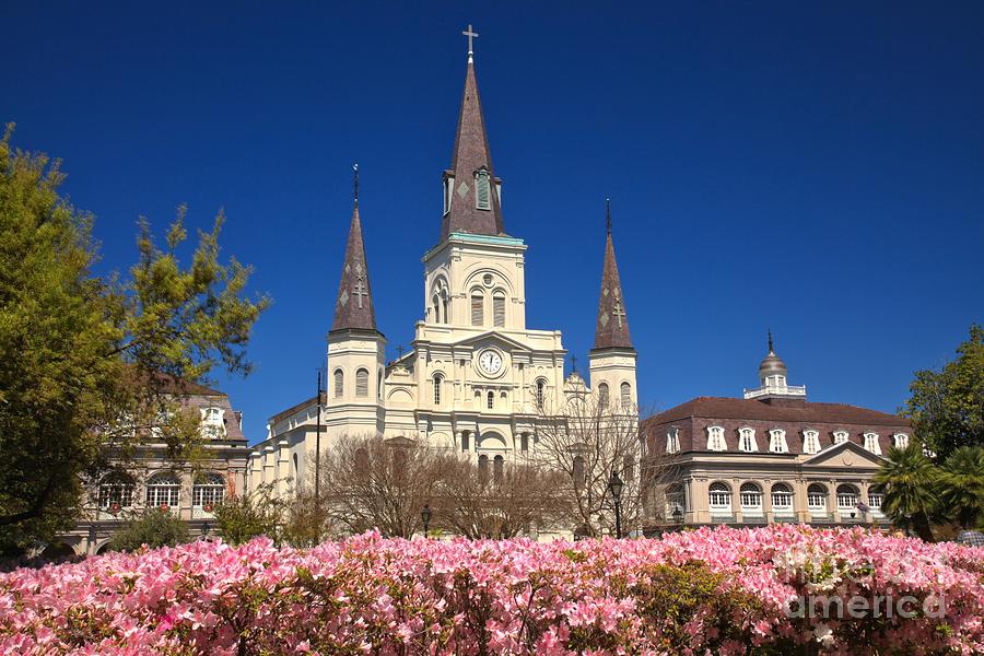 Jackson Square Spring Time Photograph by Adam Jewell