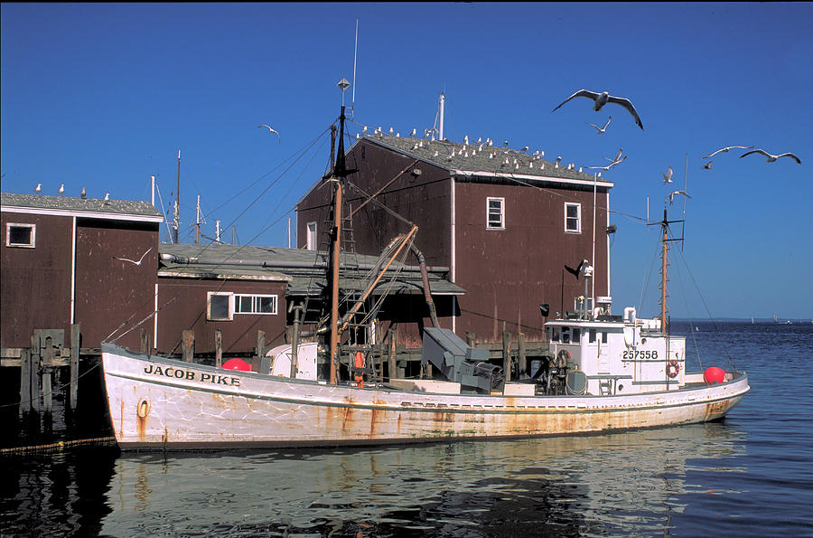 Sardine Fishing Boat Photos for Sale - Fine Art America