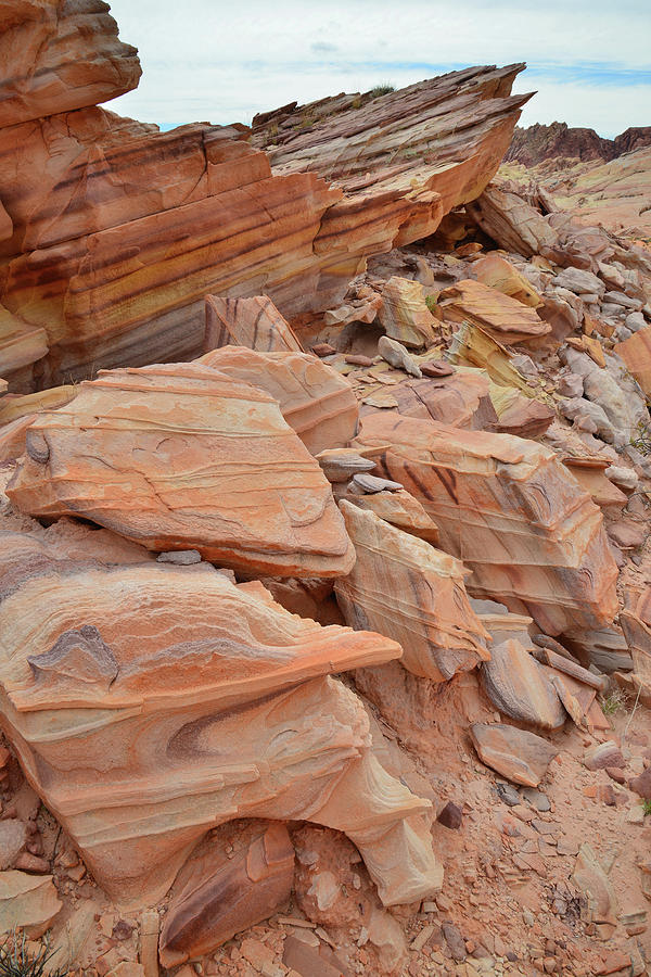 Jagged Juts of Color in Valley of Fire Photograph by Ray Mathis