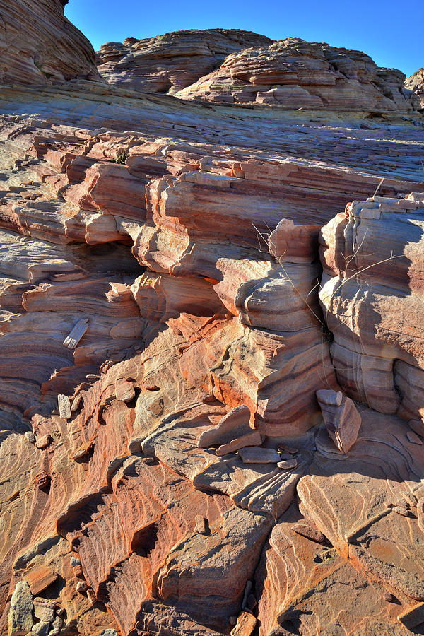 Jagged Sandstone Ridges in Valley of Fire Photograph by Ray Mathis