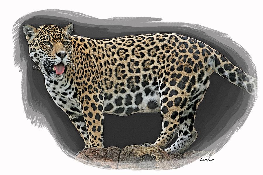 Jaguar 16 Digital Art by Larry Linton