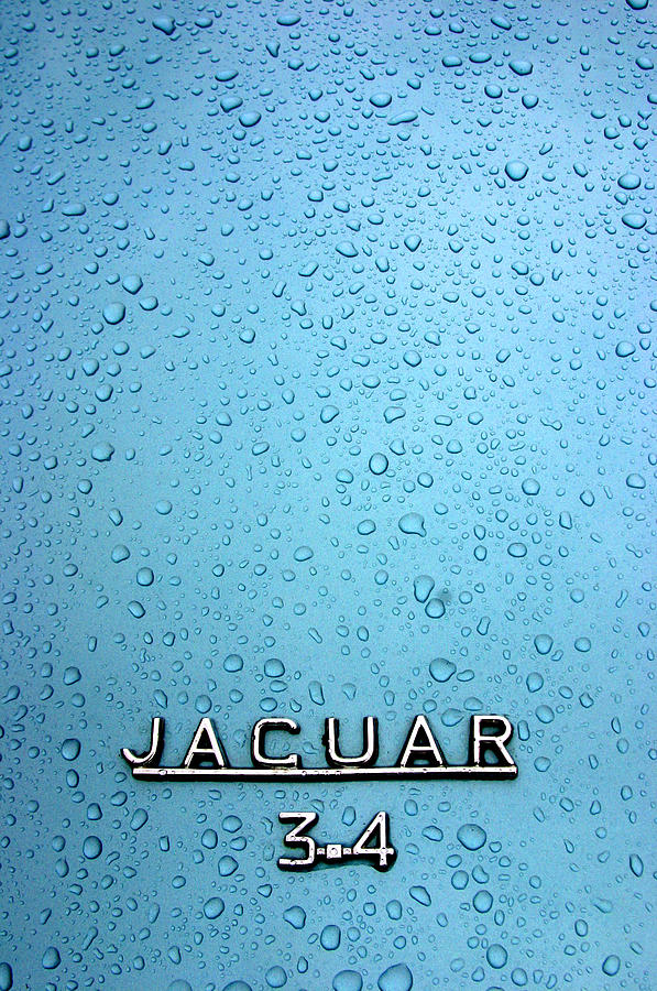 Jaguar 3.4 3 Photograph by Jez C Self