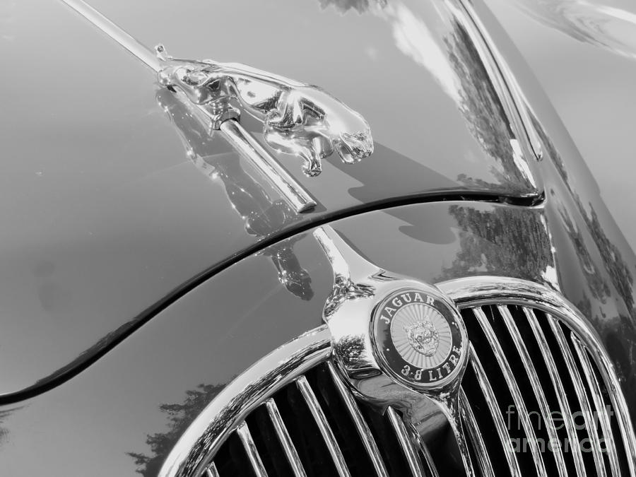 Car Photograph - Jaguar 3.8 Litre by Neil Zimmerman