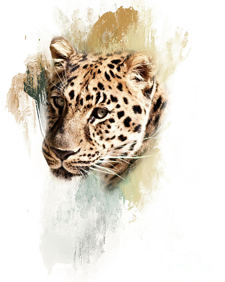 Jaguar Abstract Photograph by Pam  Holdsworth