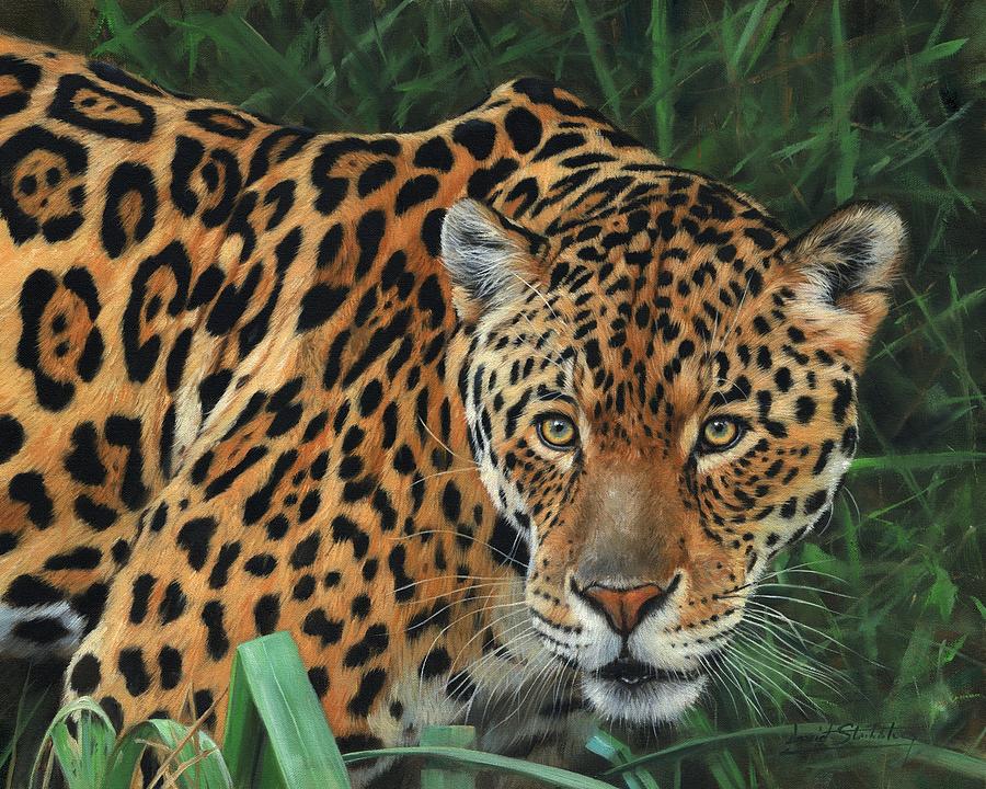 Jaguar Alert Painting by David Stribbling