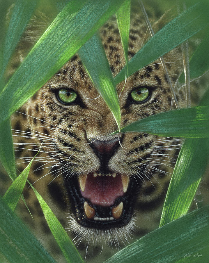Jaguar - Ambush Painting by Collin Bogle