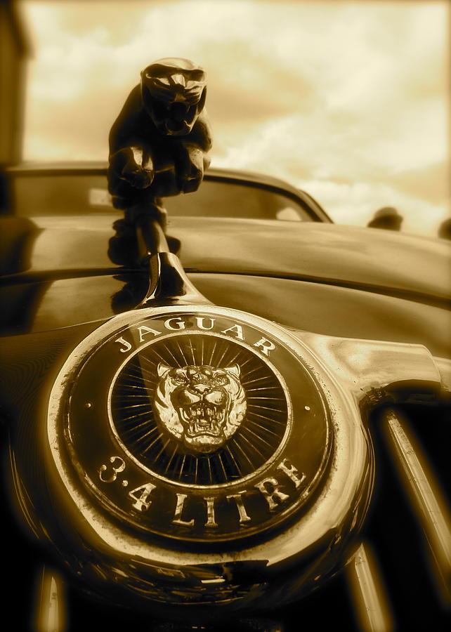 Jaguar Car Mascot Photograph by John Colley