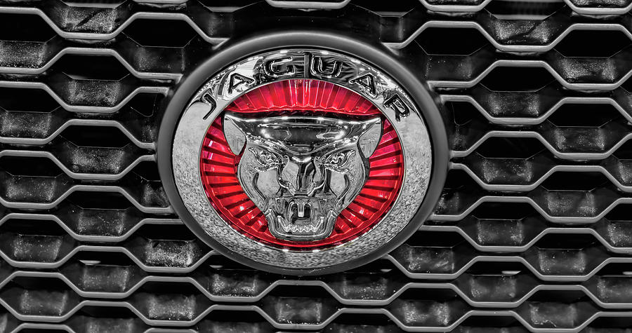 Jaguar Cars Emblem Photograph by John Straton