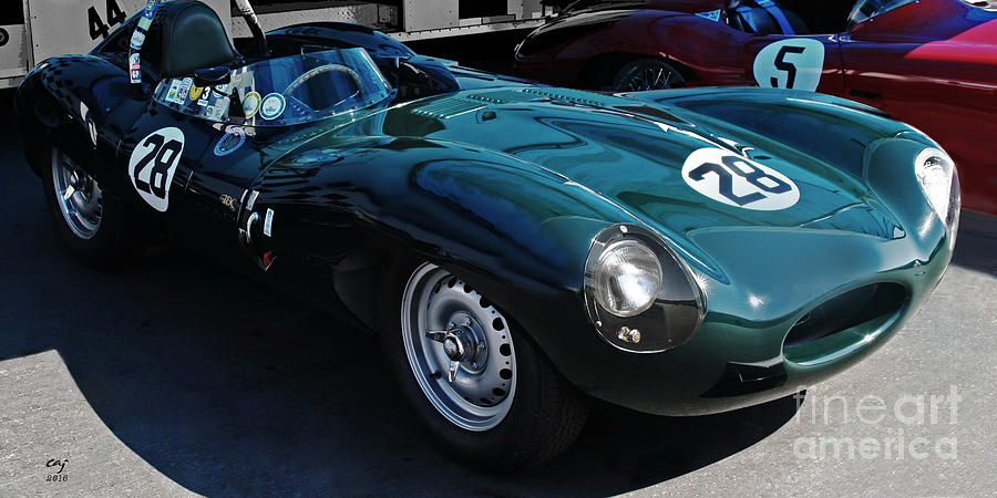 Vintage Photograph - Jaguar D Type by Curt Johnson