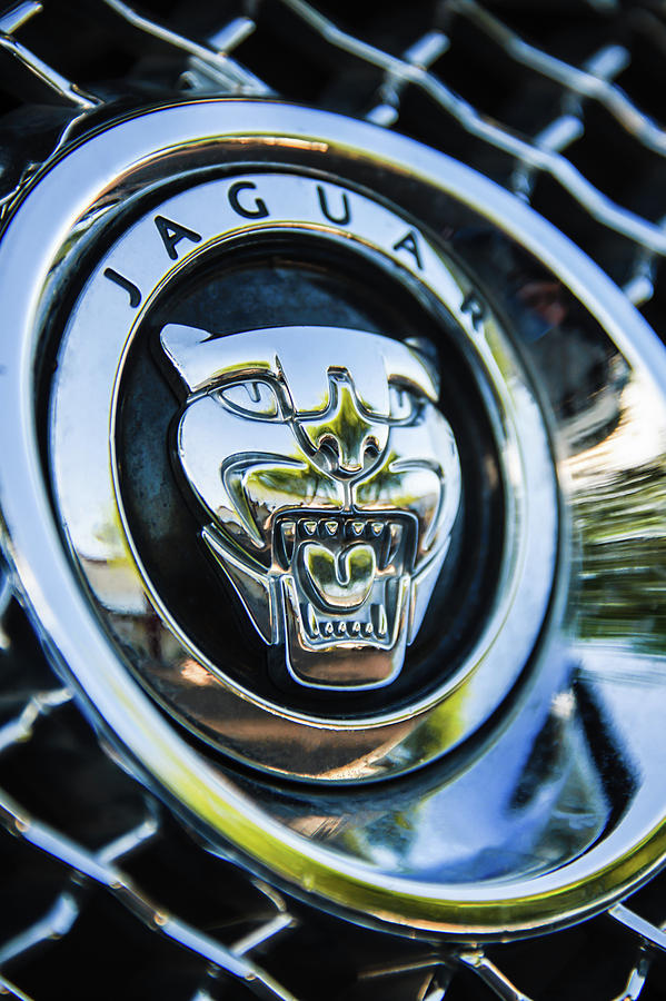 Jaguar Emblem -0028c Photograph by Jill Reger | Fine Art America