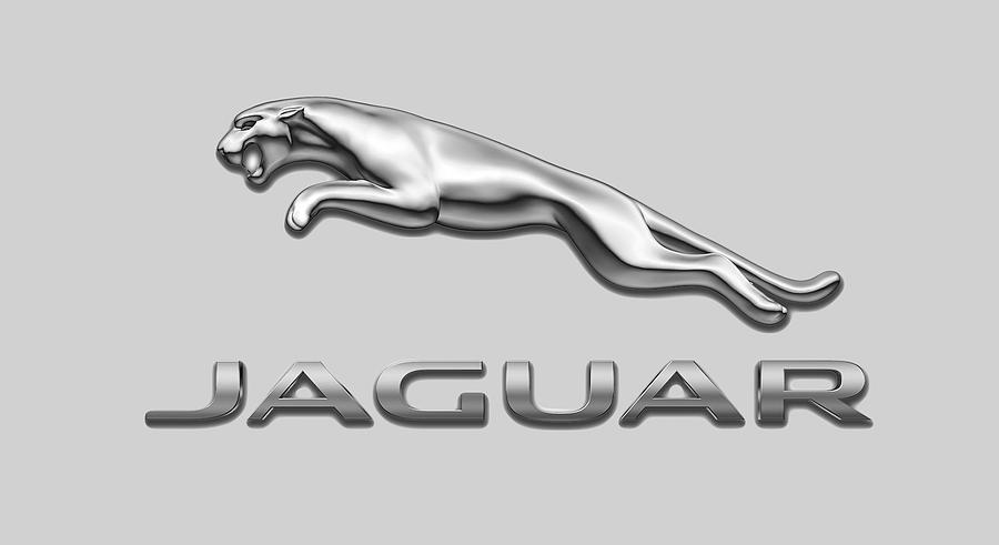Jaguar Digital Art by Ericamaxine Price - Fine Art America