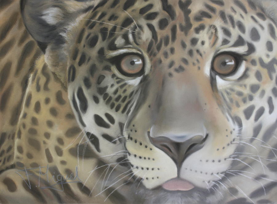 Jaguar Painting by Fatima Miguel - Fine Art America