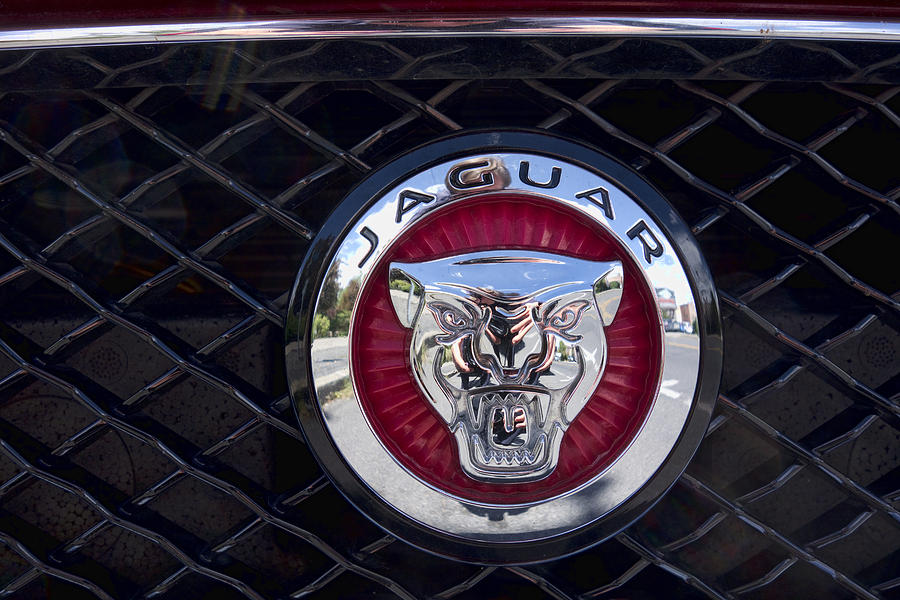 Jaguar Insignia And Grill Photograph by Daniel Hagerman