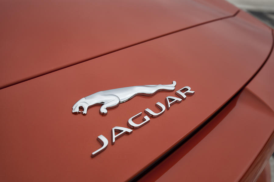 Jaguar Photograph by ItzKirb Photography