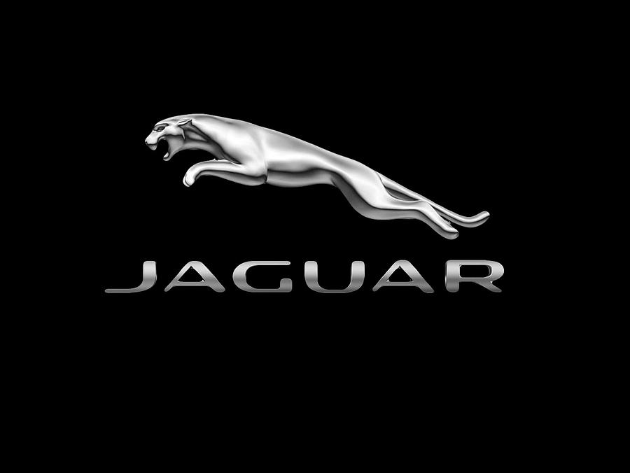 Mug Photograph - Jaguar Logo by Ericamaxine Price