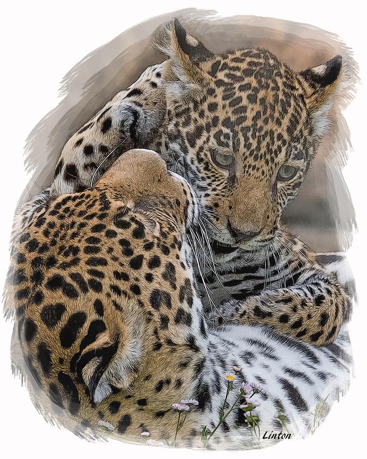 Jaguar Mother And Cub 4 Digital Art by Larry Linton