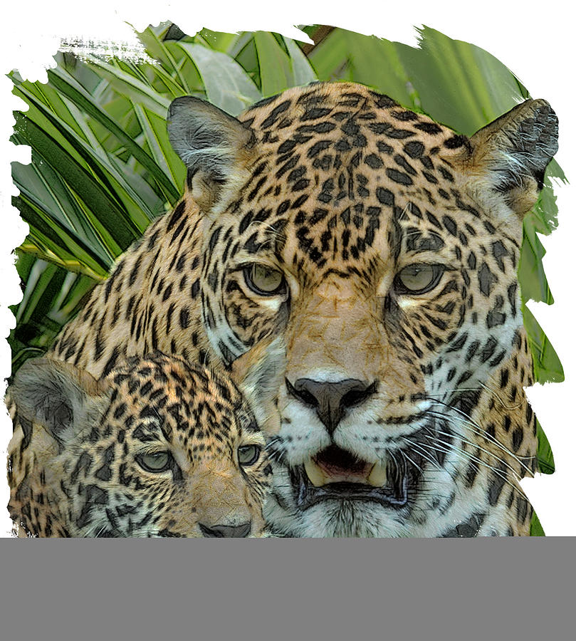 Jaguar Mother And Cub Digital Art by Larry Linton
