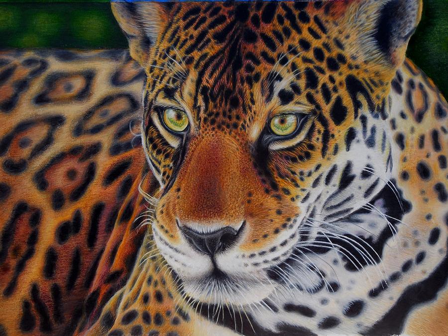 Jaguar of the Amazon Mixed Media by Karen Sharp - Fine Art America