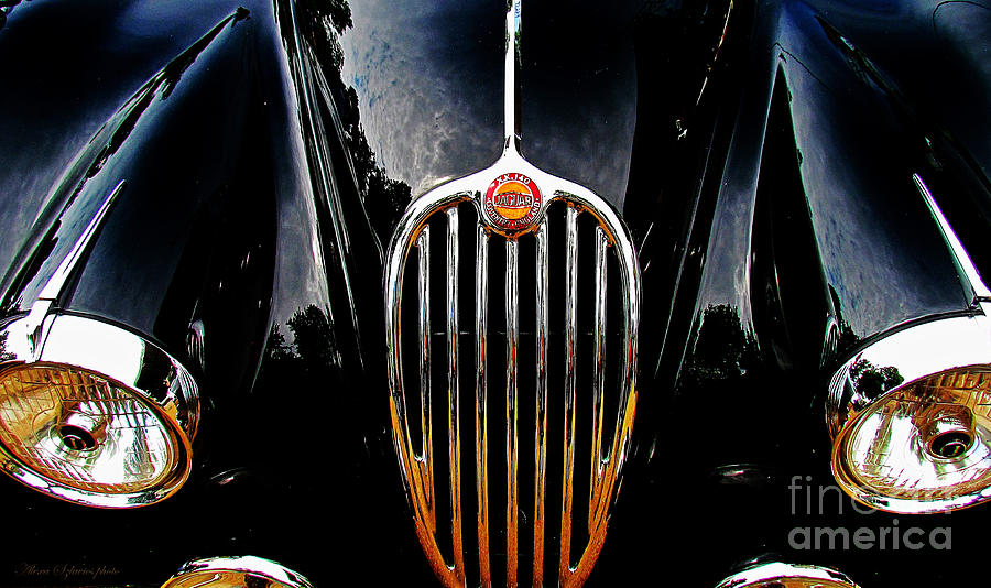 Jaguar Old automobile Photograph by Alexa Szlavics