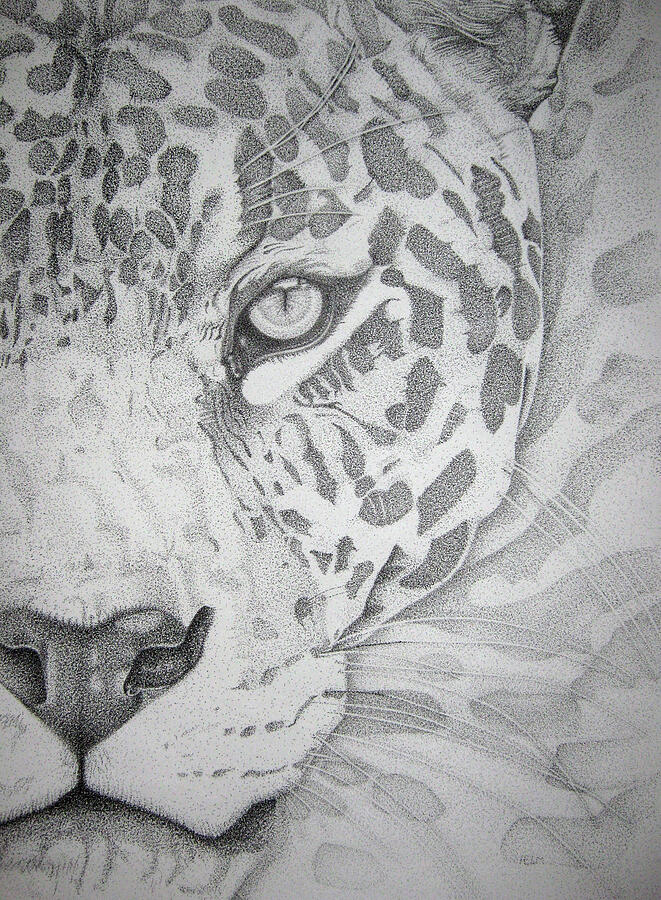 Jaguar Pointillism Drawing by Mayhem Mediums