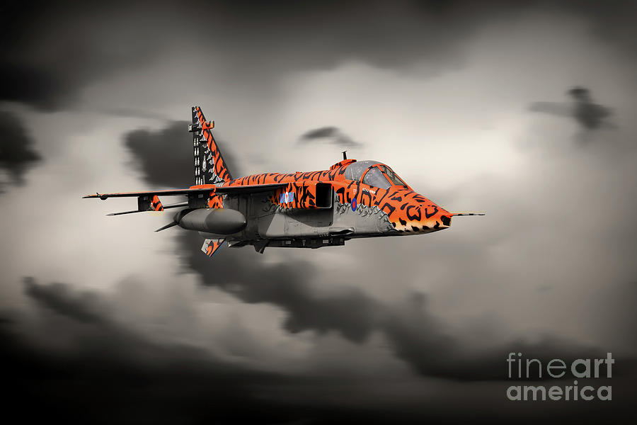 Jaguar Prowl Digital Art by Airpower Art