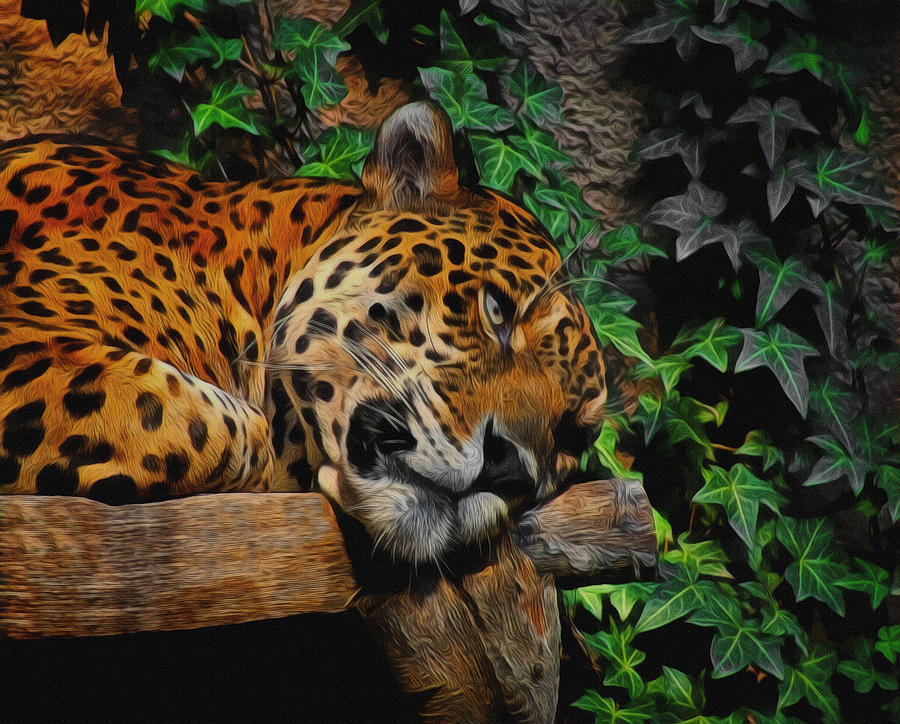 Cat Digital Art - Jaguar Relaxing by Ernest Echols