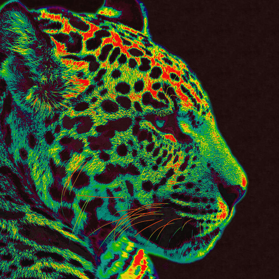 Jaguar Mixed Media by Stacey Chiew - Fine Art America