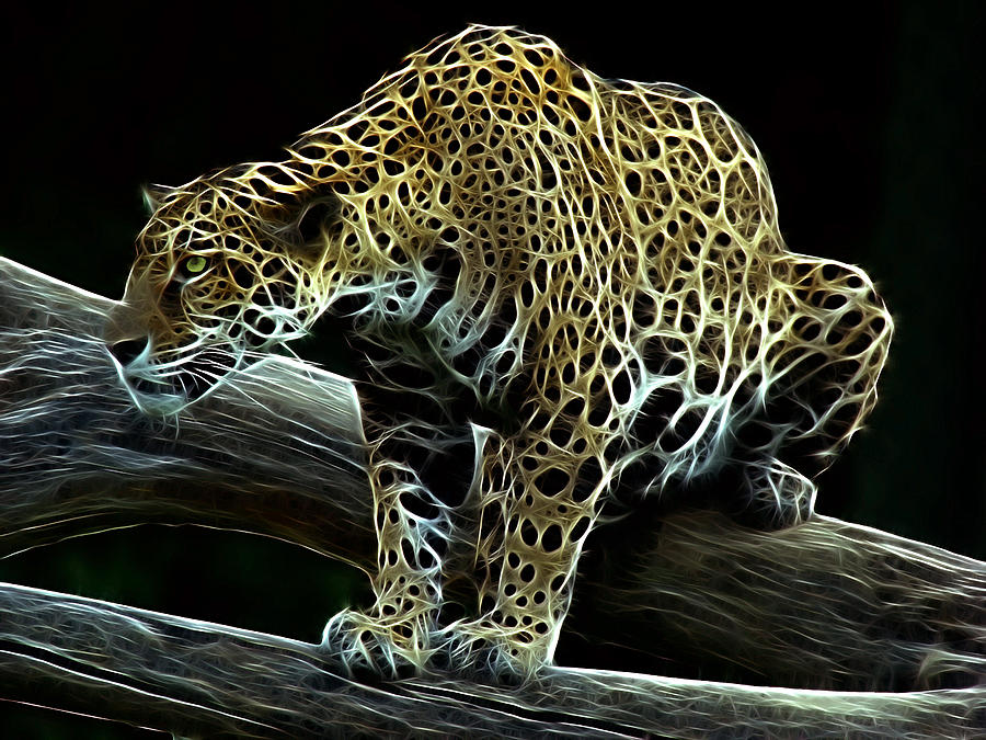 Jaguar Watching Photograph by Sandy Keeton