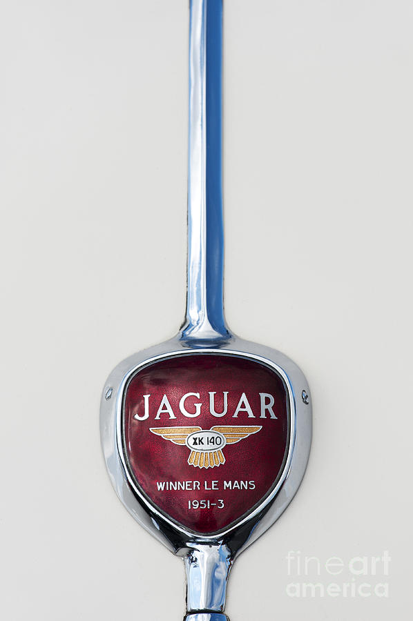 Car Photograph - Jaguar XK 140 Trunk Badge by Tim Gainey