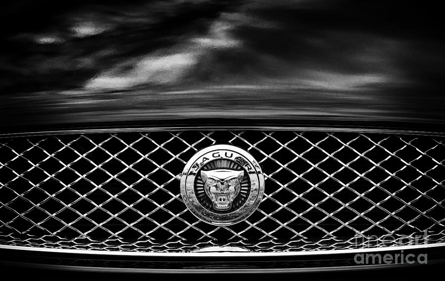 Jaguar XK Photograph by Tim Gainey