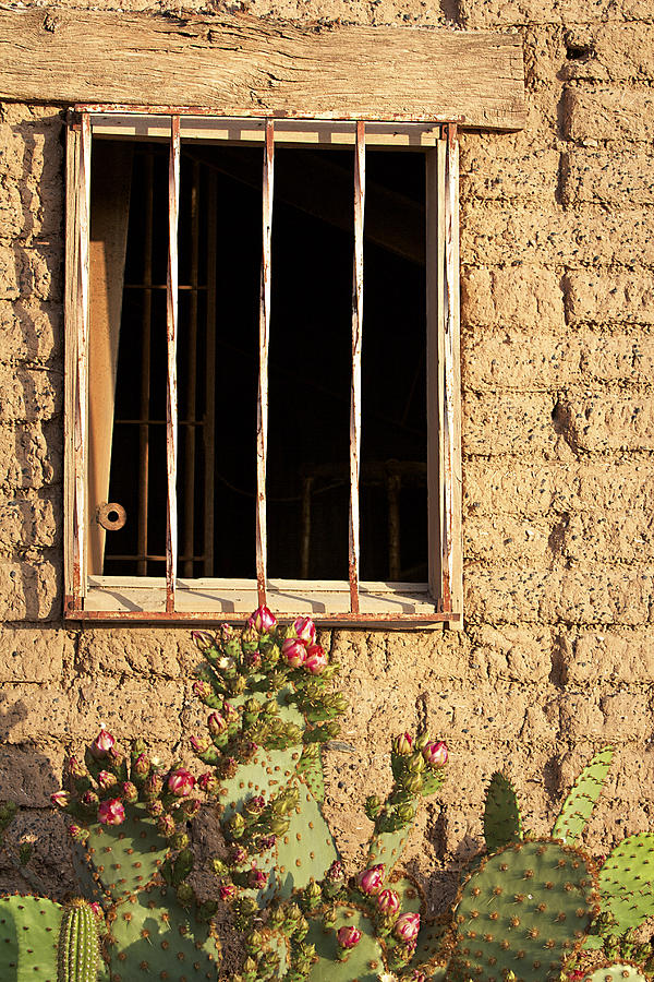 Architecture Photograph - Jailhouse Window by Phyllis Denton