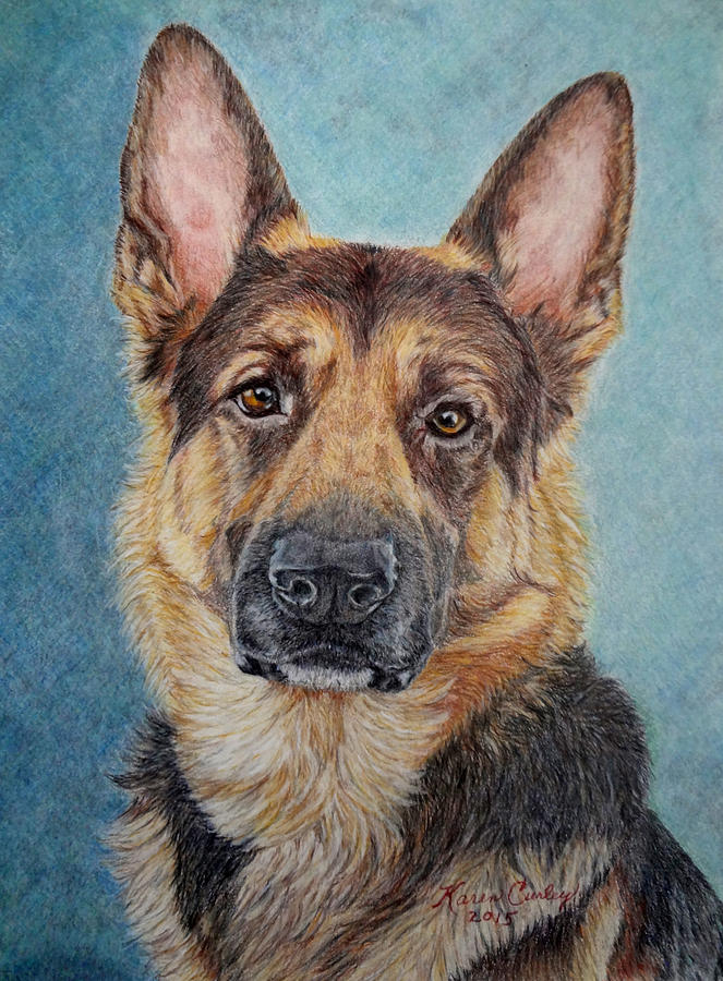 German Shepherd Painting - Jake by Karen Curley