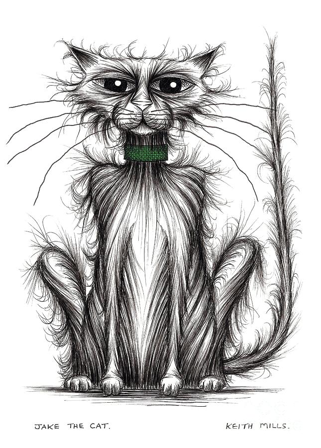 Jake the cat Drawing by Keith Mills