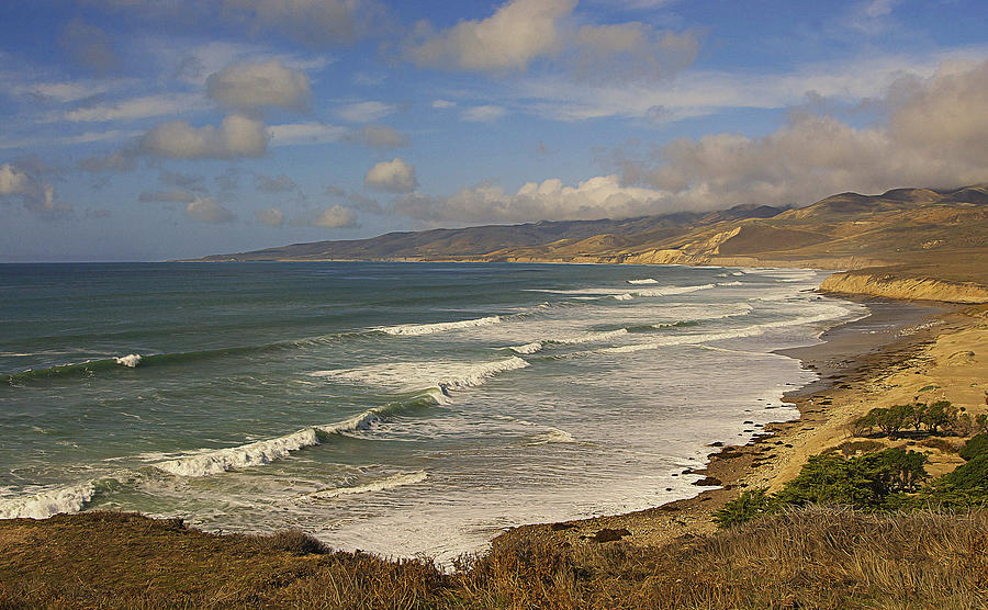Tree Photograph - Jalama Beach From Blufftop by Ron Regalado