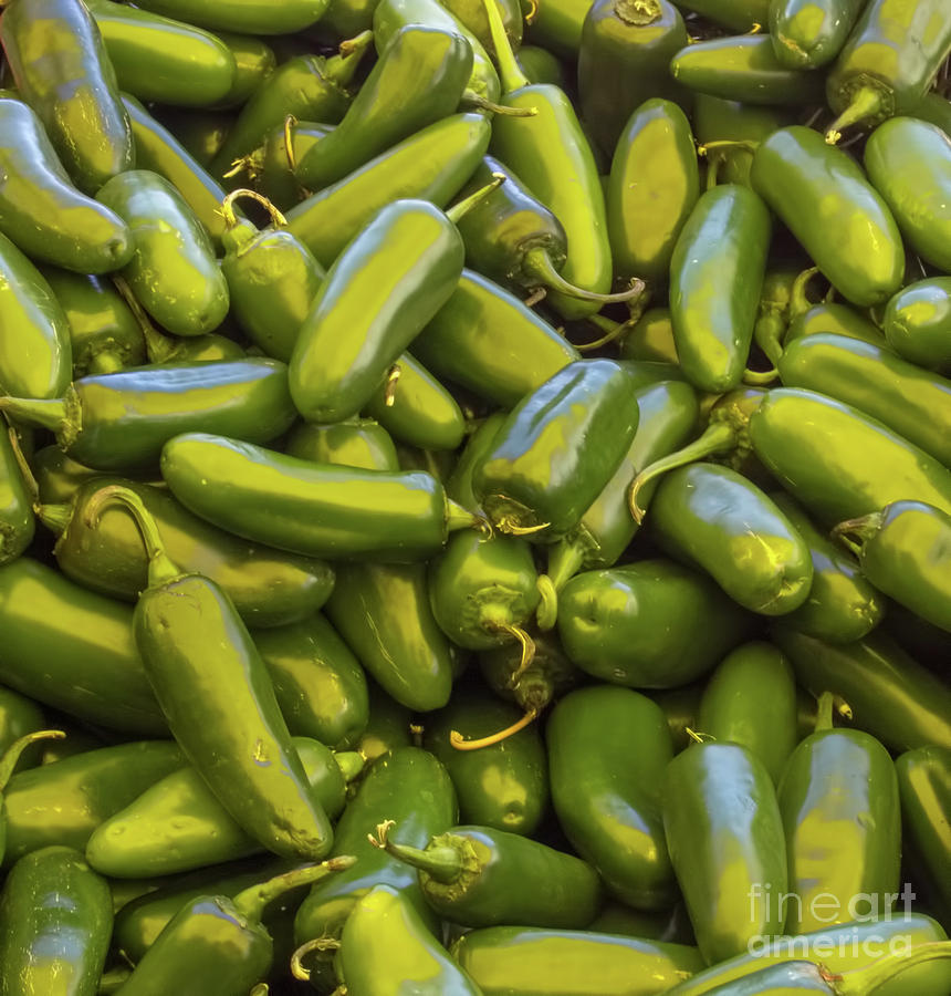Jalapeno Peppers Photograph by Steven Parker