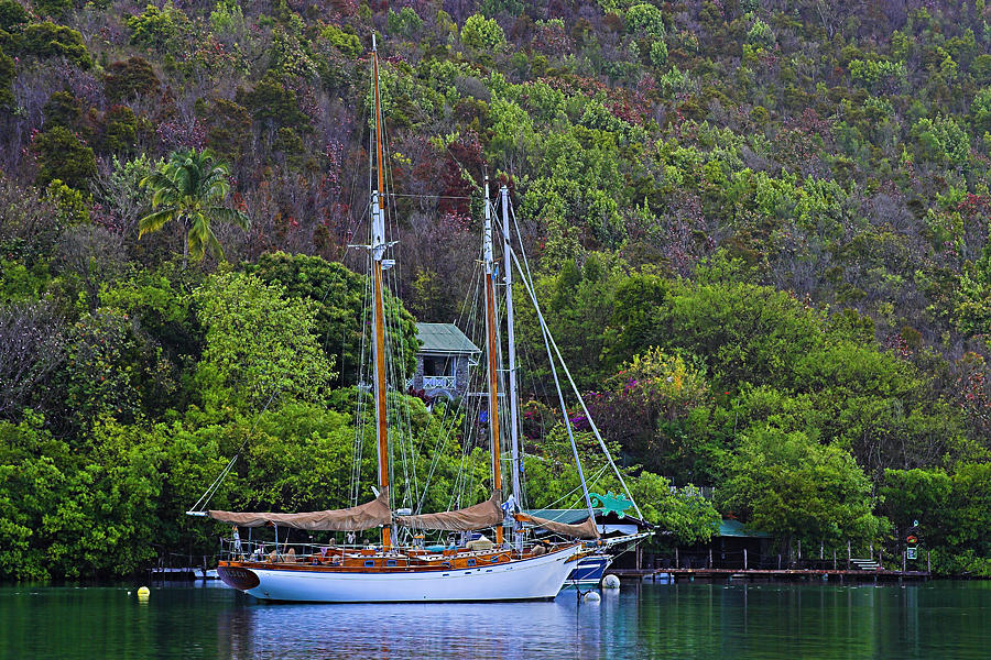 Jaldevi-St Lucia Photograph by Chester Williams