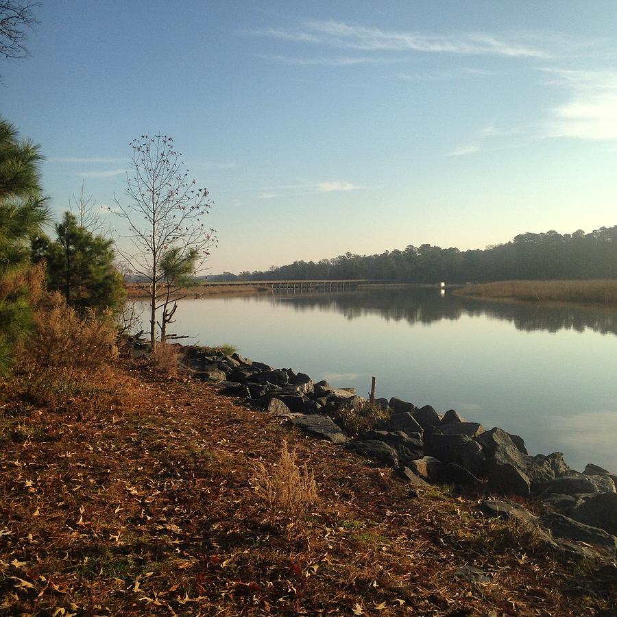 James River at Jamestown Photograph by Will Felix