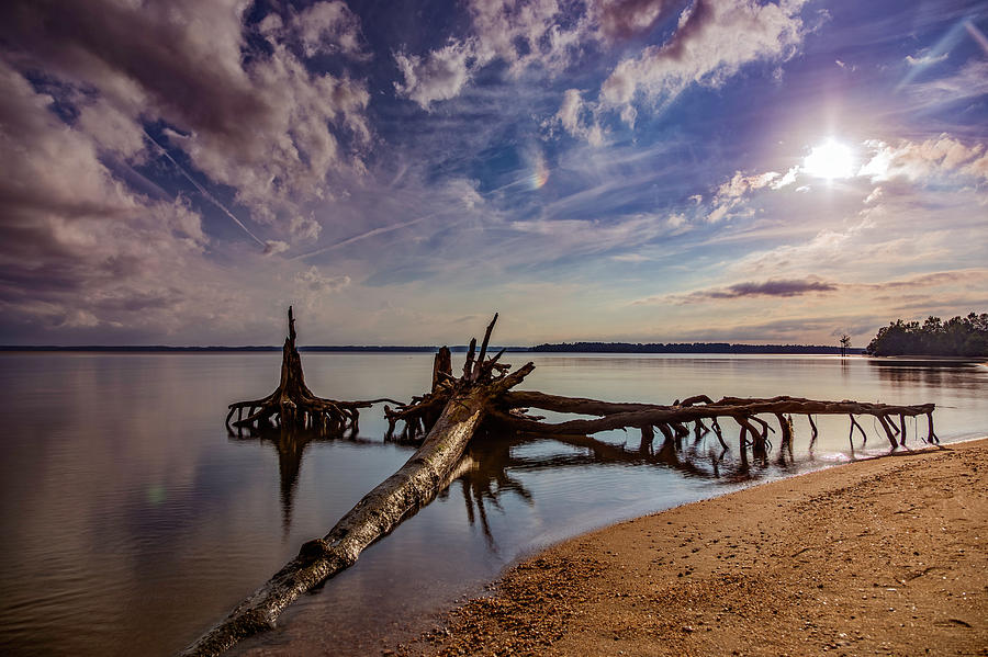 Landscape Photograph - James River by Pete Federico Landscape Photograph - James River by Pete Federico