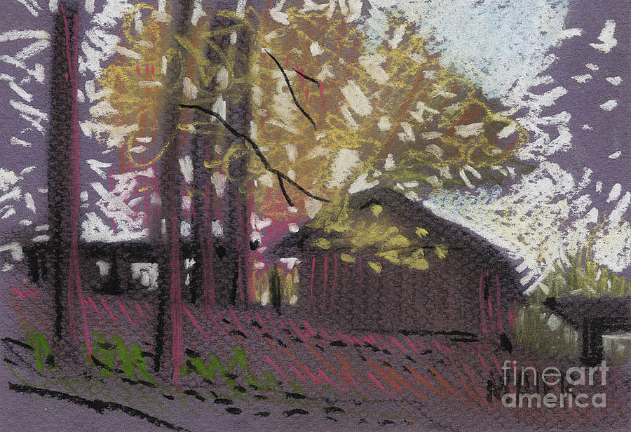Jamess Barns 9 Drawing by Donald Maier