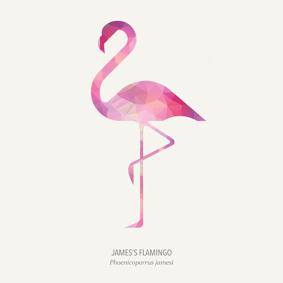 James's Flamingo Digital Art - Jamess Flamingo by Zapista OU James's Flamingo Digital Art - Jamess Flamingo by Zapista OU