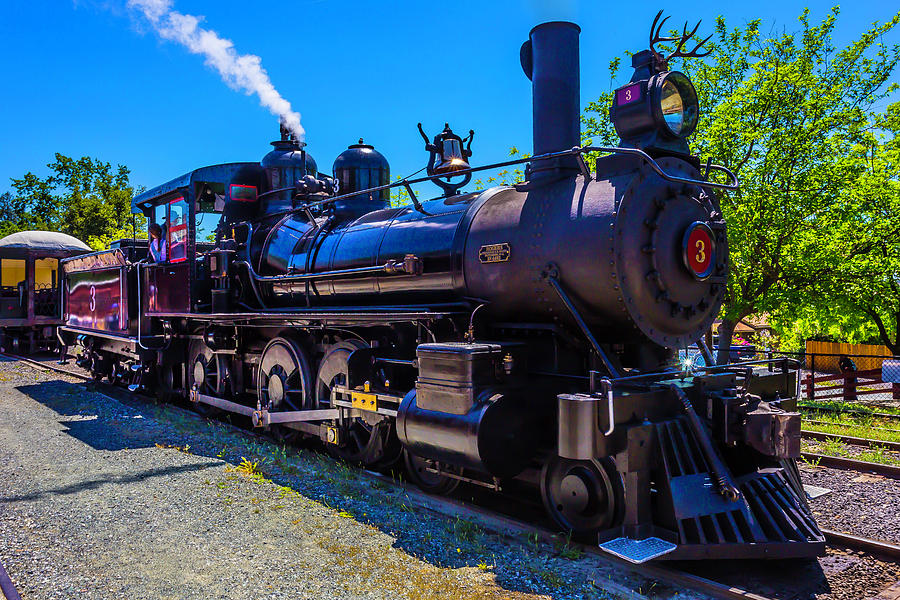 Jamestown Sierra No 3 Steam Train Photograph by Garry Gay