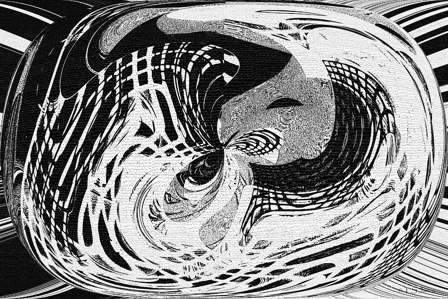 Janca Black And White Abstract # 4096 Digital Art by Tom Janca