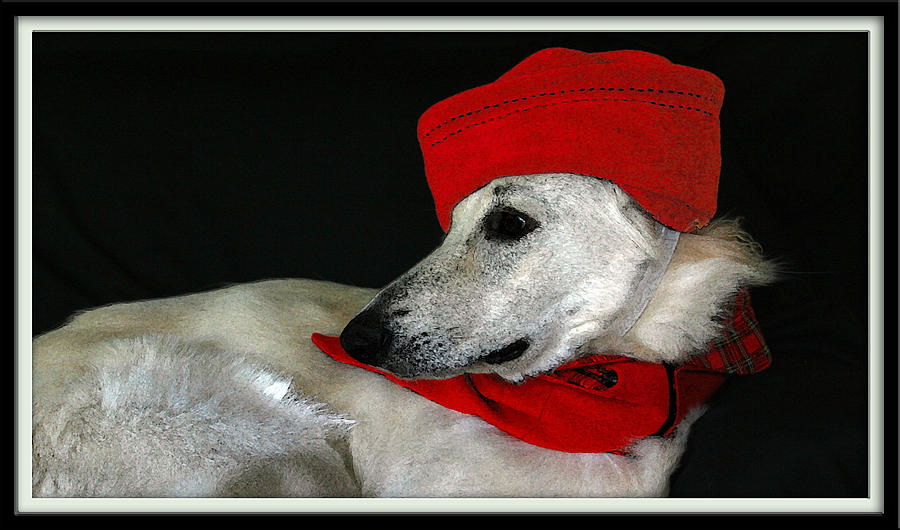 Hat Photograph - Jane Anne by Margaret Hood
