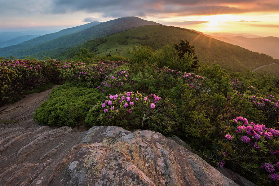 Jane Bald Sunset Photograph by Sallie Woodring - Fine Art America